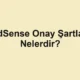 AdSense Onay Şartları Nelerdir?