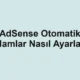 AdSense Otomatik Reklamlar Nasıl Ayarlanır?