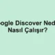 Google Discover Nedir? Nasıl Çalışır?