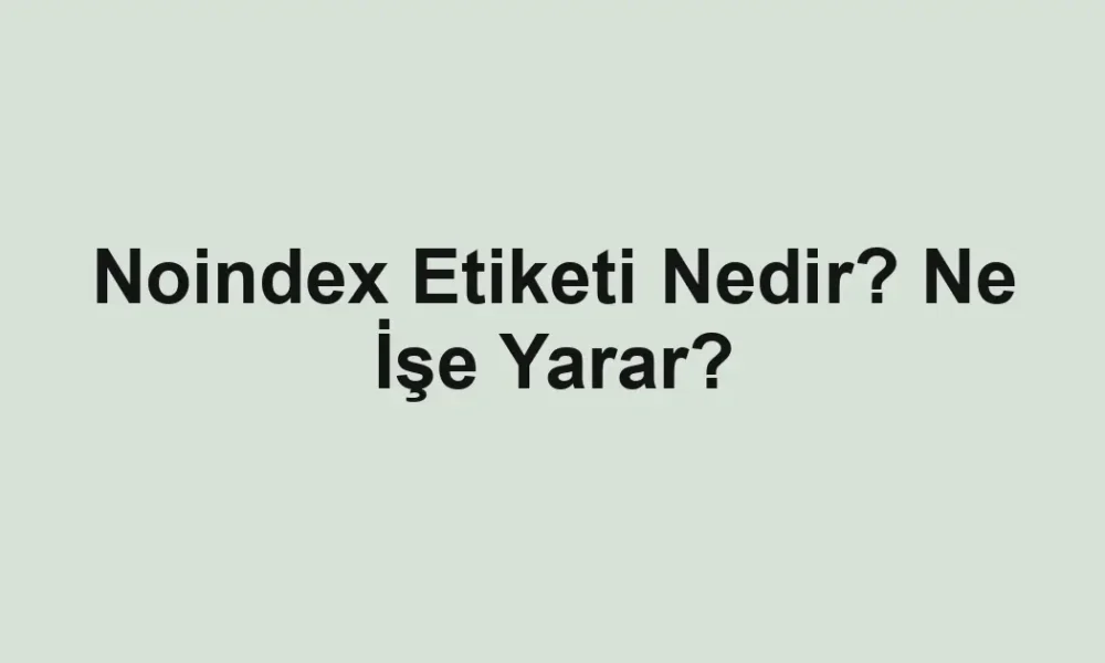 Noindex Etiketi Nedir? Ne İşe Yarar?