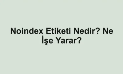 Noindex Etiketi Nedir? Ne İşe Yarar?