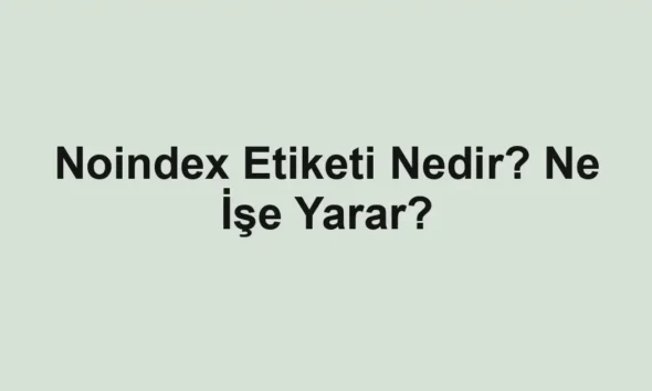 Noindex Etiketi Nedir? Ne İşe Yarar?