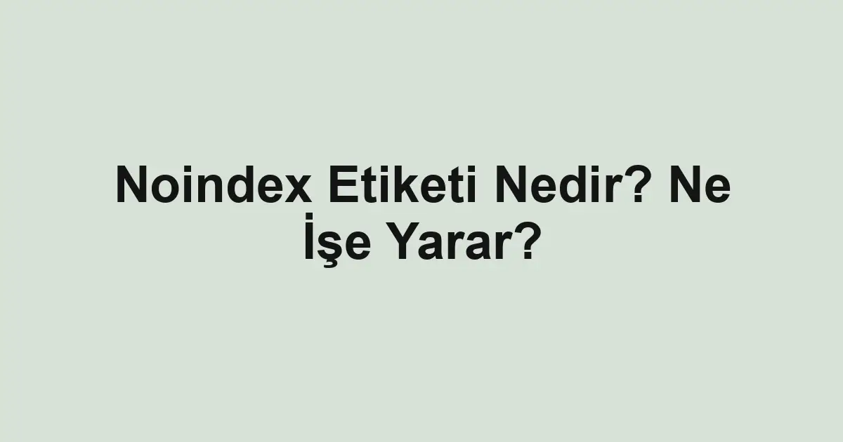 Noindex Etiketi Nedir? Ne İşe Yarar?